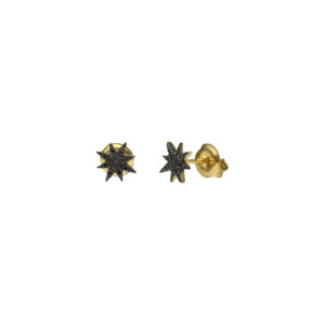 Boucles d'Oreilles Puces Argent Dorées Étoile Diamant Noir