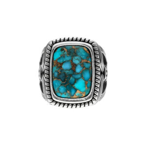 Bague argent homme temple pierre turquoise 5