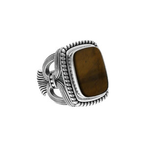 Bague argent homme temple pierre œil de tigre 5