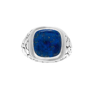Bague en argent homme écaille pierre lapis 5