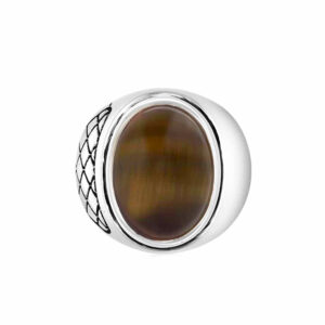 Bague homme œil de tigre asymétrique argent 6