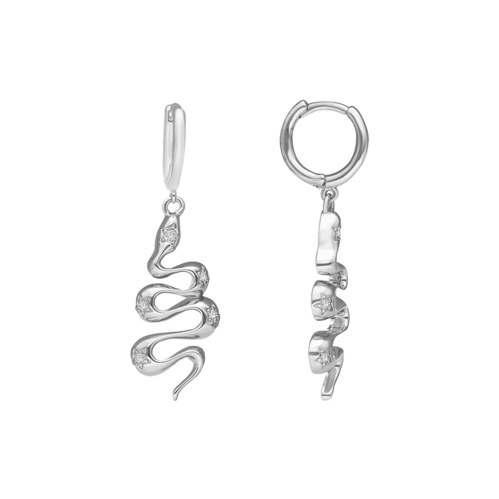 Silver snake earrings set 1